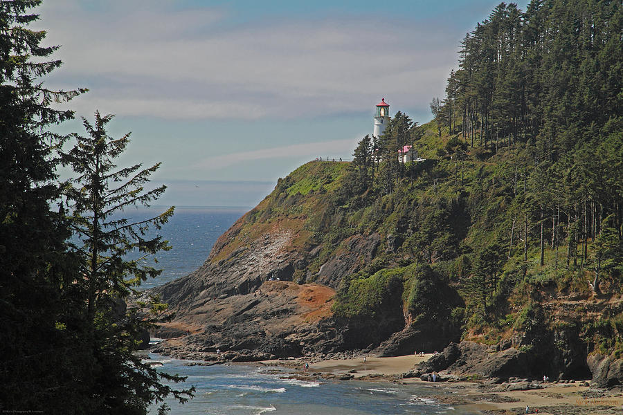 Summer at Heceta Head Lighthouse Photograph by Mick Anderson