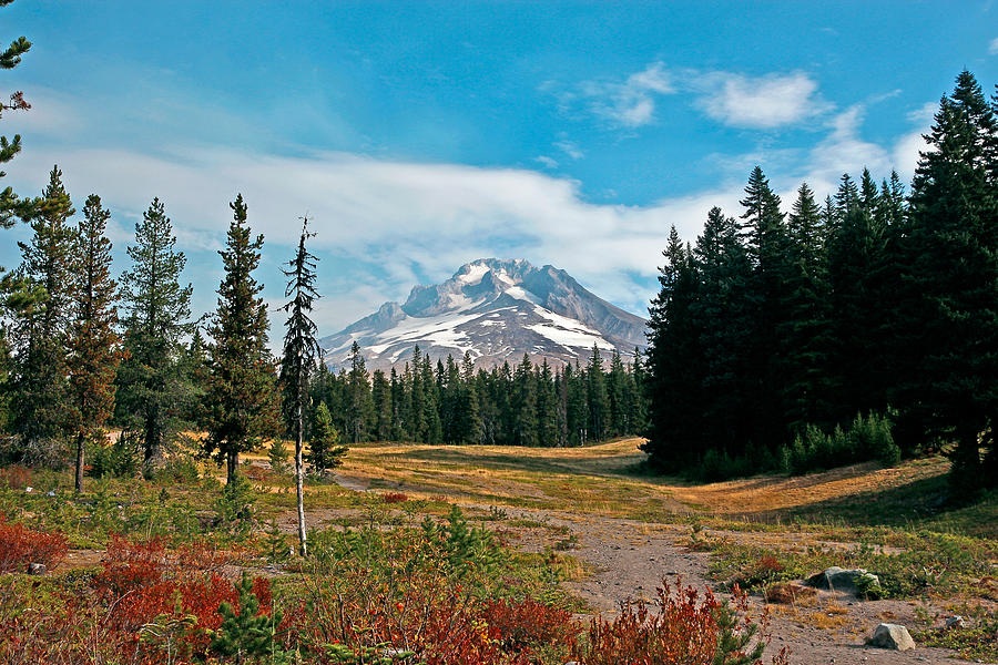 Summer At Mt. Hood In Oregon Photograph by Athena Mckinzie