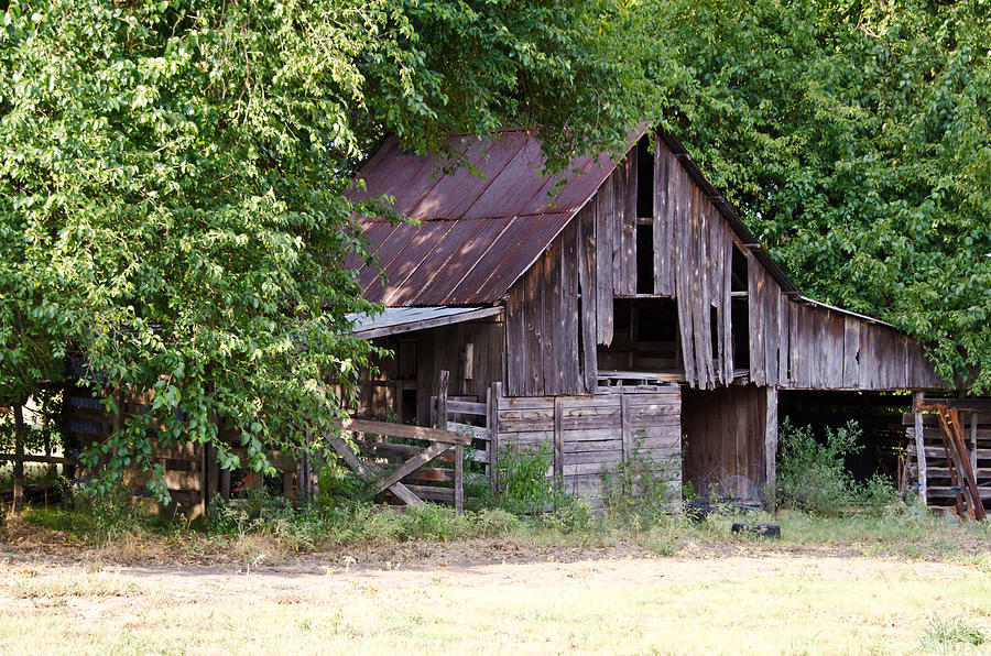 Summer Barn Photograph by Lisa Moore - Fine Art America