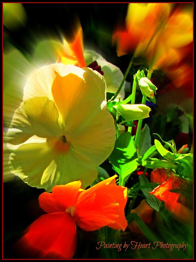 Summer Bloom by Deahn Benware Summer Bloom by Deahn Benware