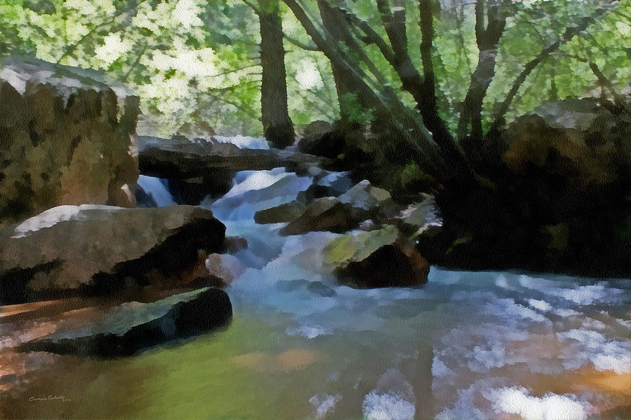 Waterfall Digital Art - Summer Creek by Ernest Echols