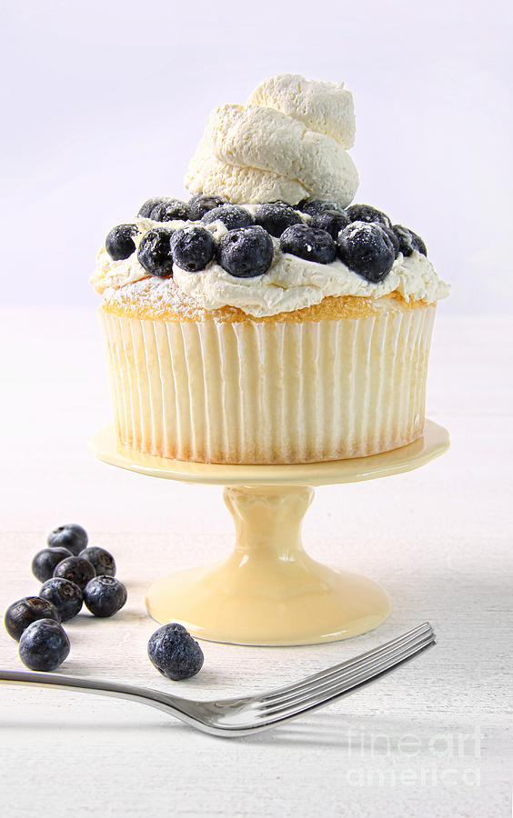 Summer dessert with blueberries and whip cream Photograph by Sandra Cunningham