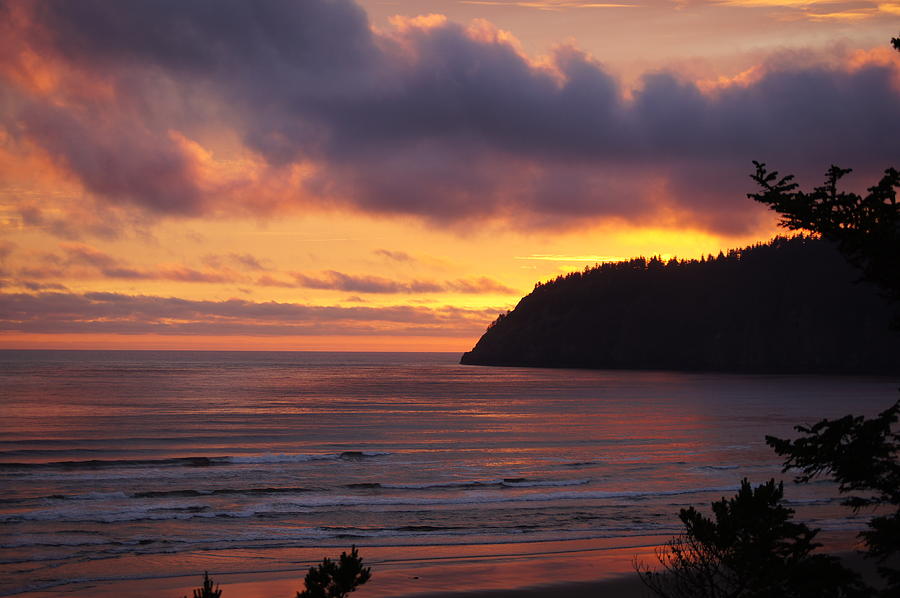 Summer Evening Photograph By Angi Parks