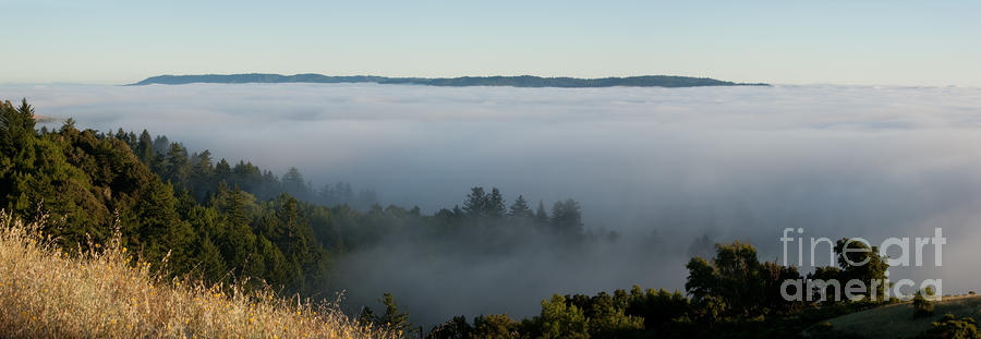 Mountain Photograph - Summer Fog Rolls In by Matt Tilghman