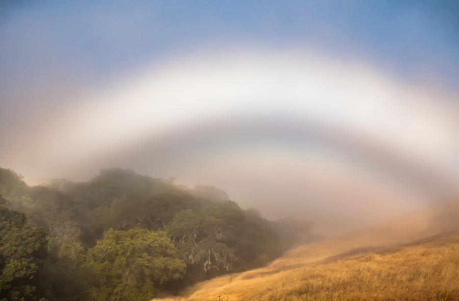 Summer Fogbow Photograph by Marc Crumpler