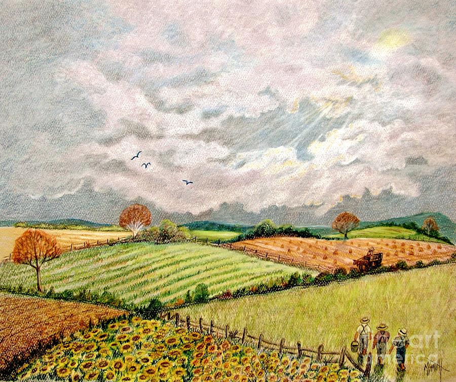 Summer Harvest Drawing by Marilyn Smith