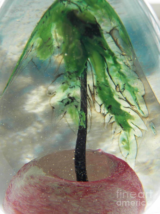 Summer in Blown Glass Tree in Pink Sand Photograph by Judy Via-Wolff