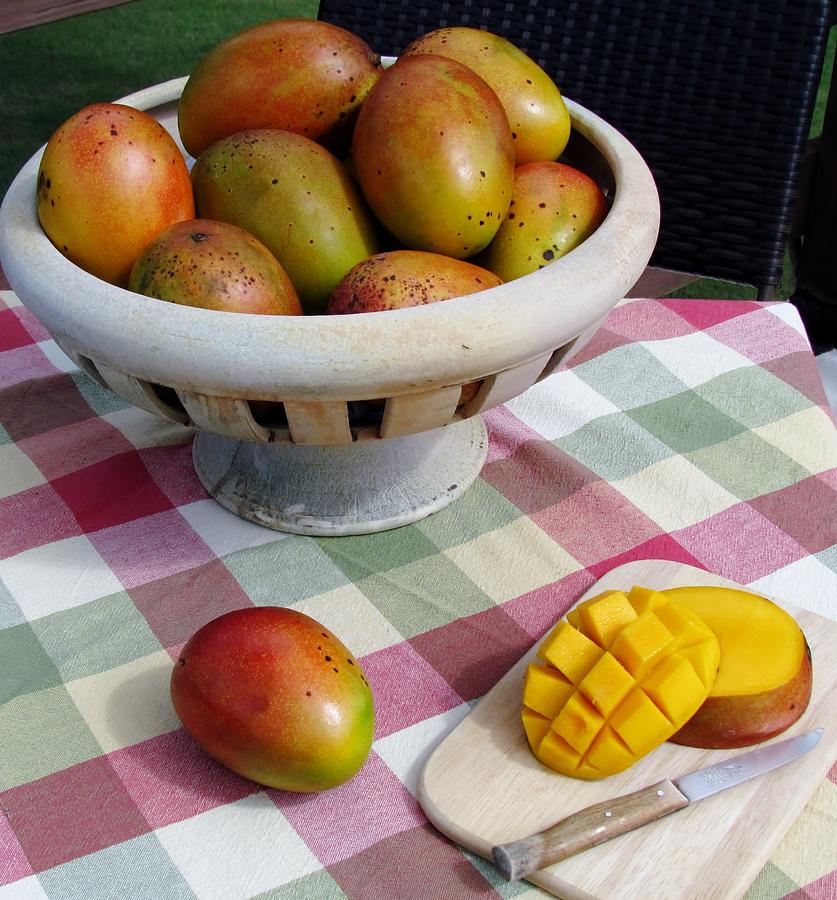 Summer Mangos Photograph by Robin Becker - Fine Art America