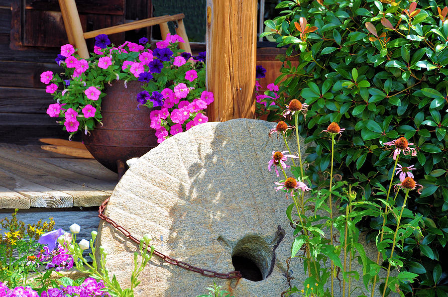 Still Life Photograph - Summer Millstone by Jan Amiss Photography