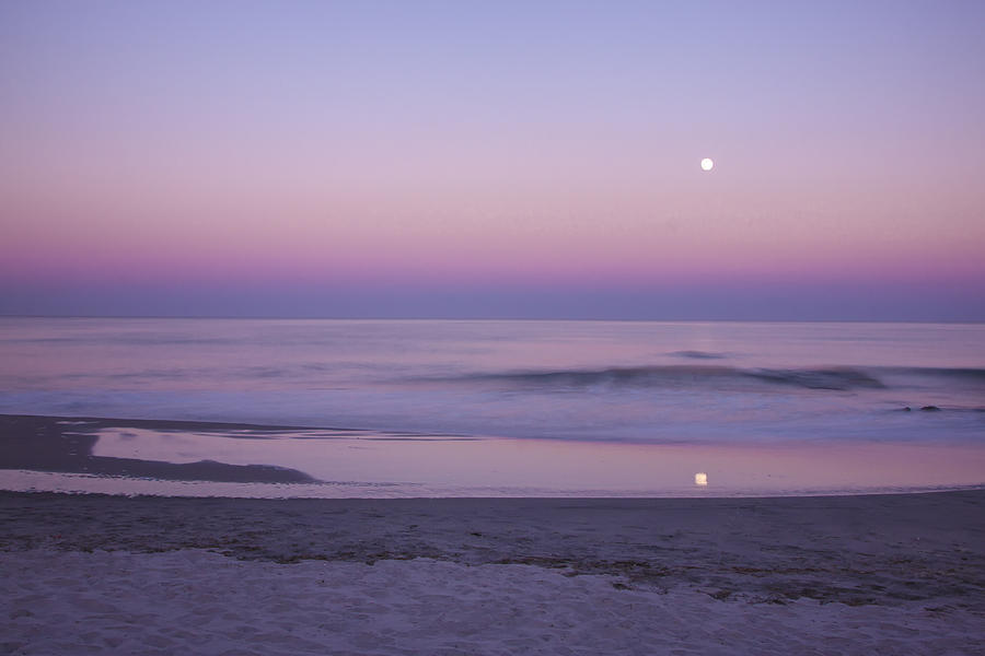 Summer Moonrise Photograph by Tom Singleton