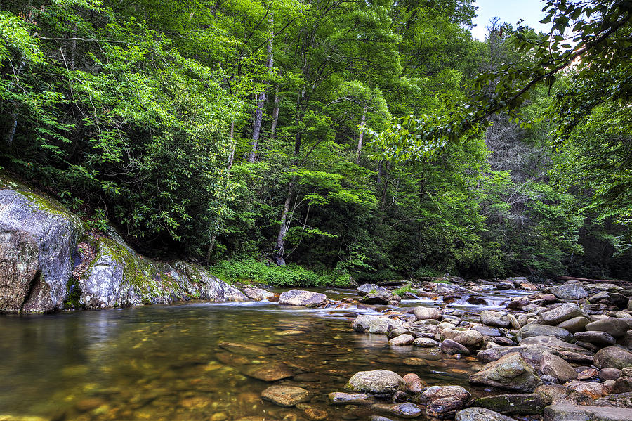 Summer River North Carolina Photograph by Nick  Shirghio