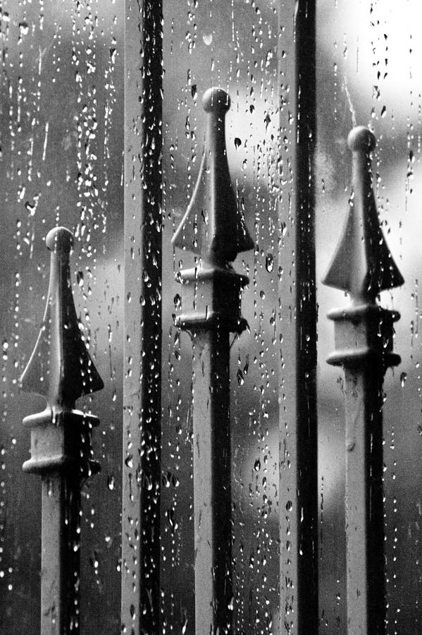 Seasons Photograph - Summer Showers by Elizabeth Hart