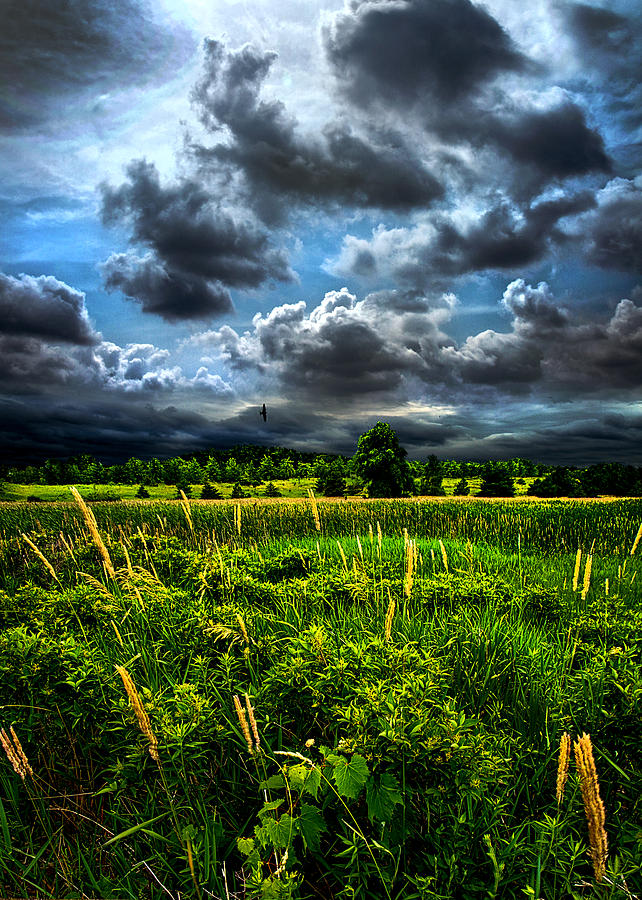 Landscape Photograph - Summer Skies by Phil Koch