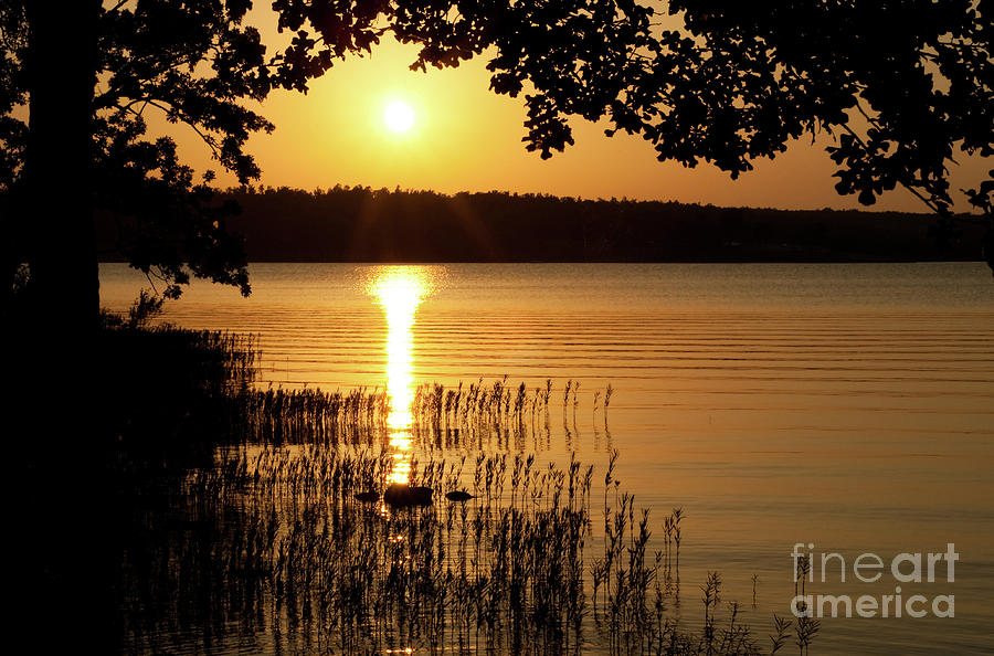 Summer Sunset at Lake Photograph by Sari ONeal