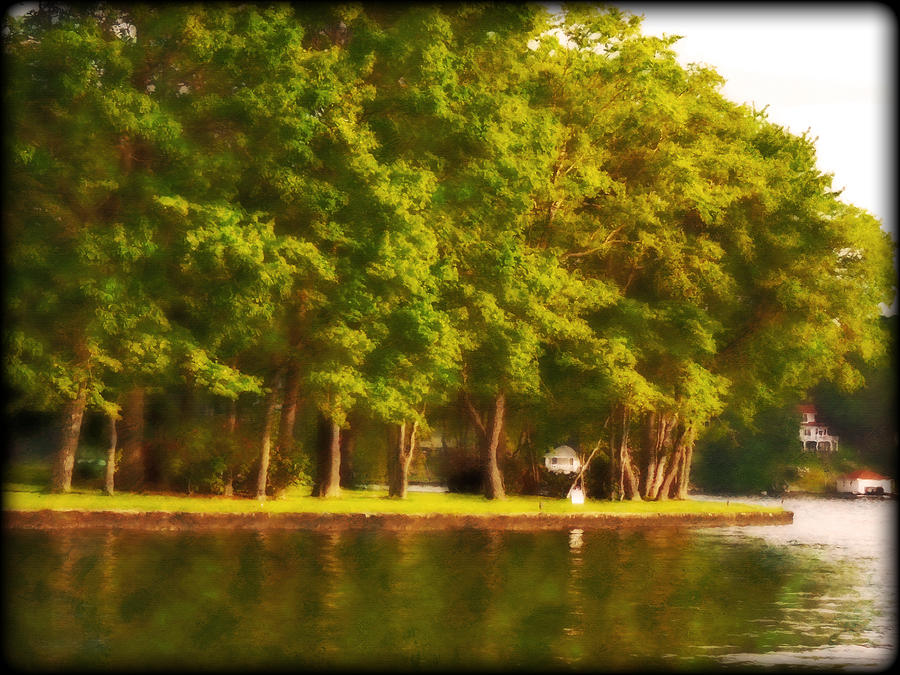 Summer Trees Lake Hopatcong New Jersey Photograph by Femina Photo Art By Maggie