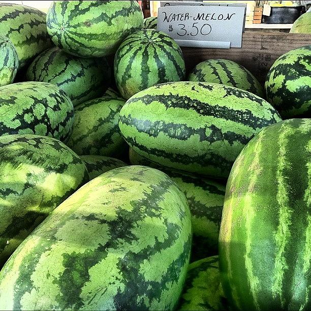 Summer Watermelons 😊 Photograph by Kathy Markovich