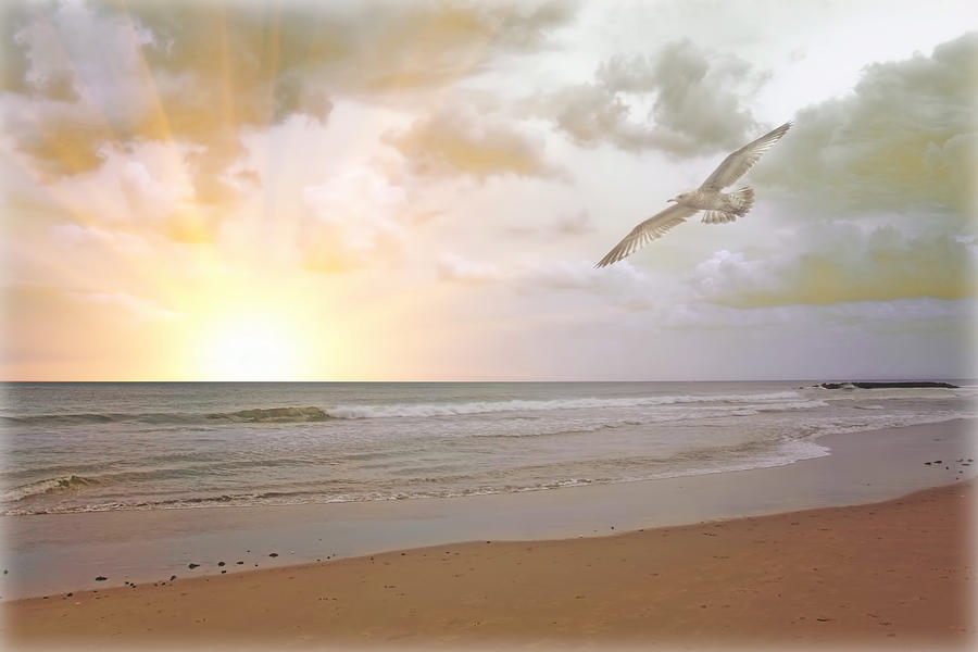 Sunset Photograph - Summmer At The Shore by Tom York Images Sunset Photograph - Summmer At The Shore by Tom York Images