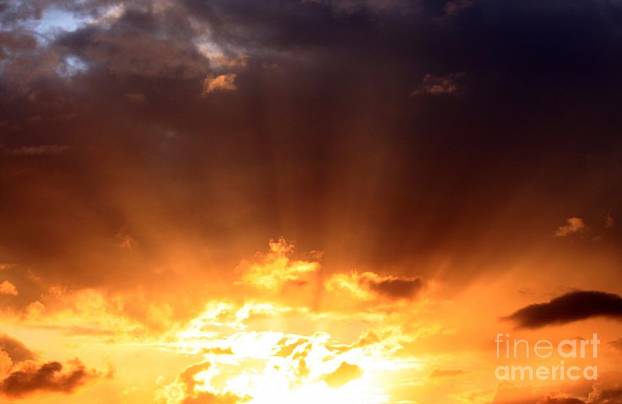 Sun Burst Photograph by Erica Hanel - Fine Art America