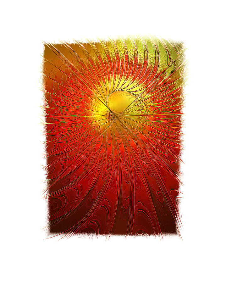 Sun Flower Framed Digital Art by Amanda Moore