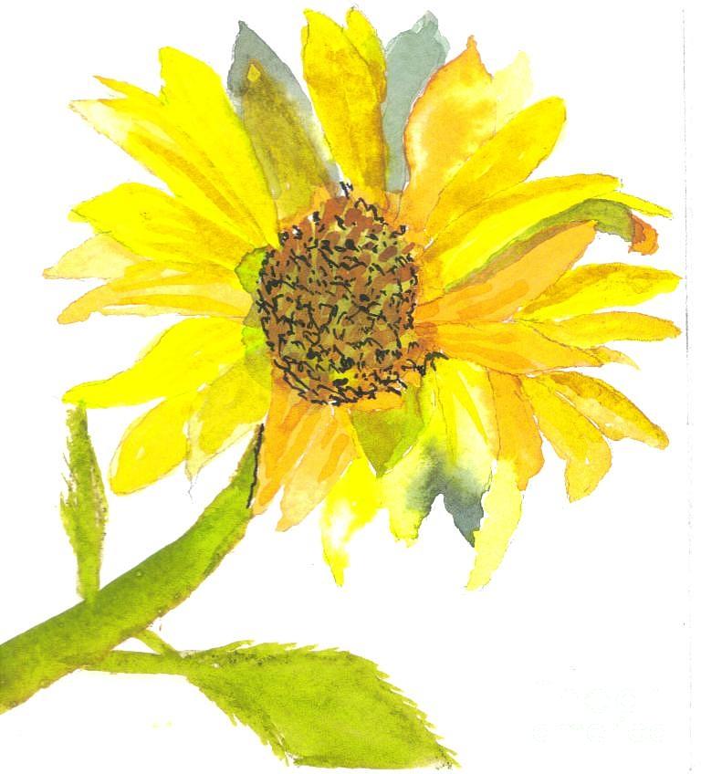 Nature Painting - Sun Flower by Hal Newhouser