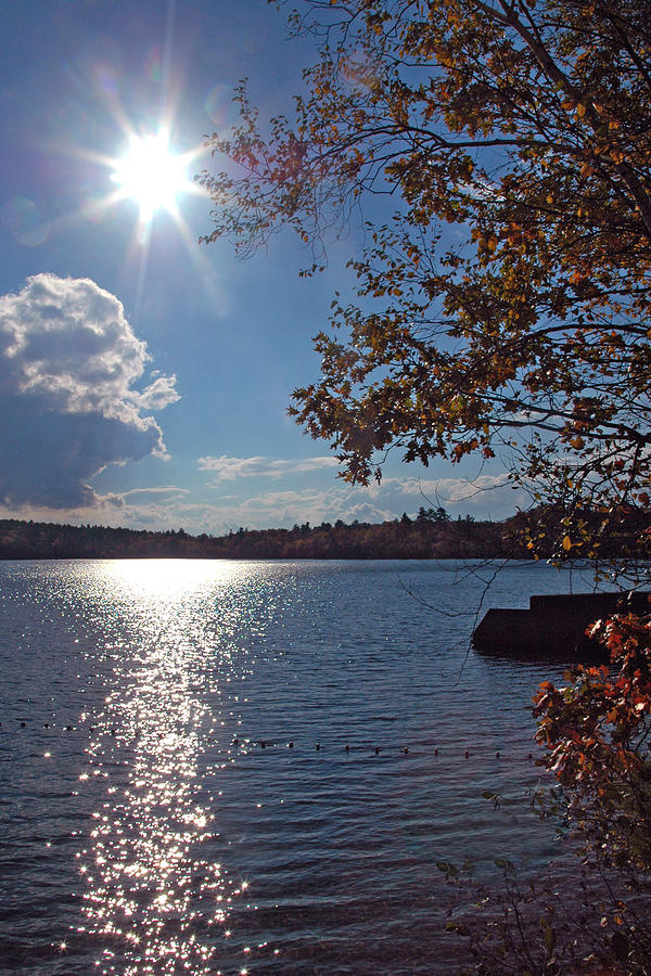 Fall Photograph - Sun Kissed Lake by Joann Vitali