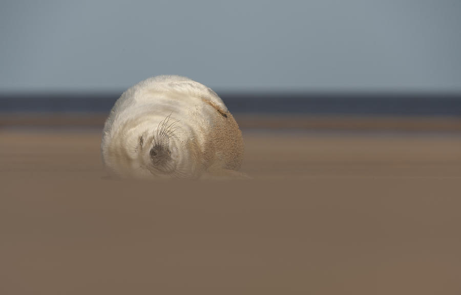 Sun Sea And Sand Photograph