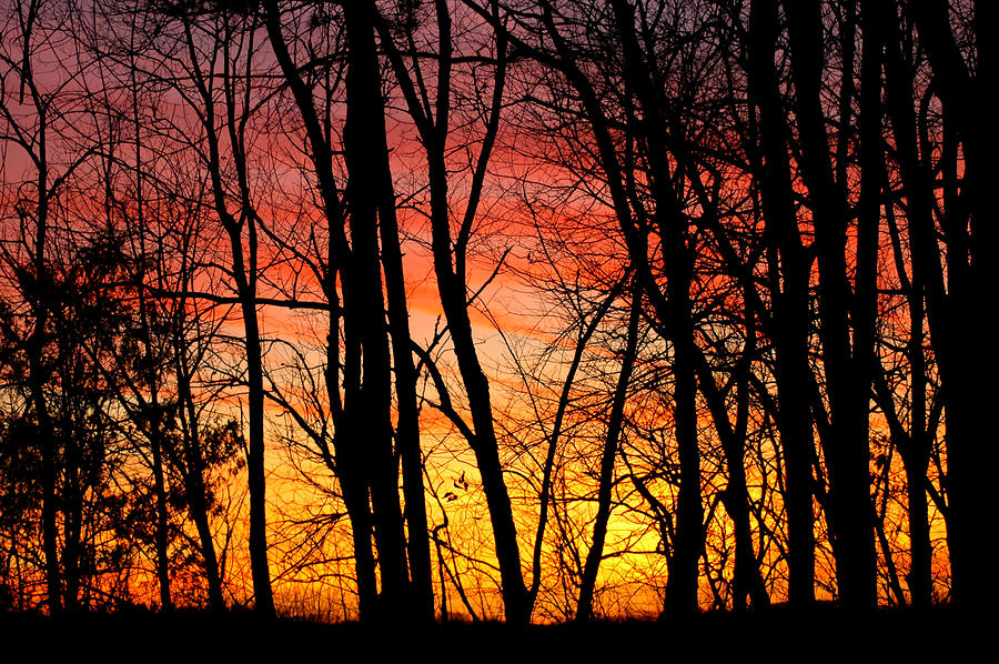 Sun Set of Fire Photograph by LeeAnn McLaneGoetz McLaneGoetzStudioLLCcom