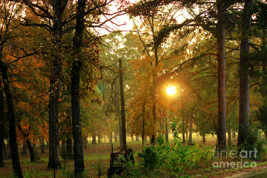 Sun Sets on A Rainy Autumn Evening Photograph by Kathy  White