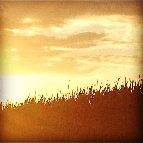Sunset Photograph - #sun #sunset #sunshine #corn #farm by Angie Ocker
