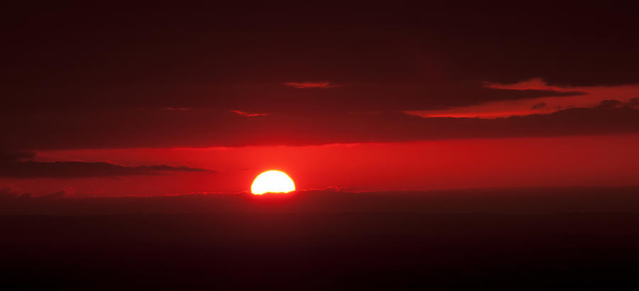 Sunset Photograph - Sun by Svetlana Sewell