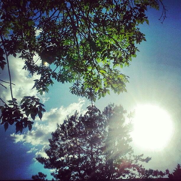 Tree Photograph - #sun #trees #clouds #sunny .. I #love by Gina Marie