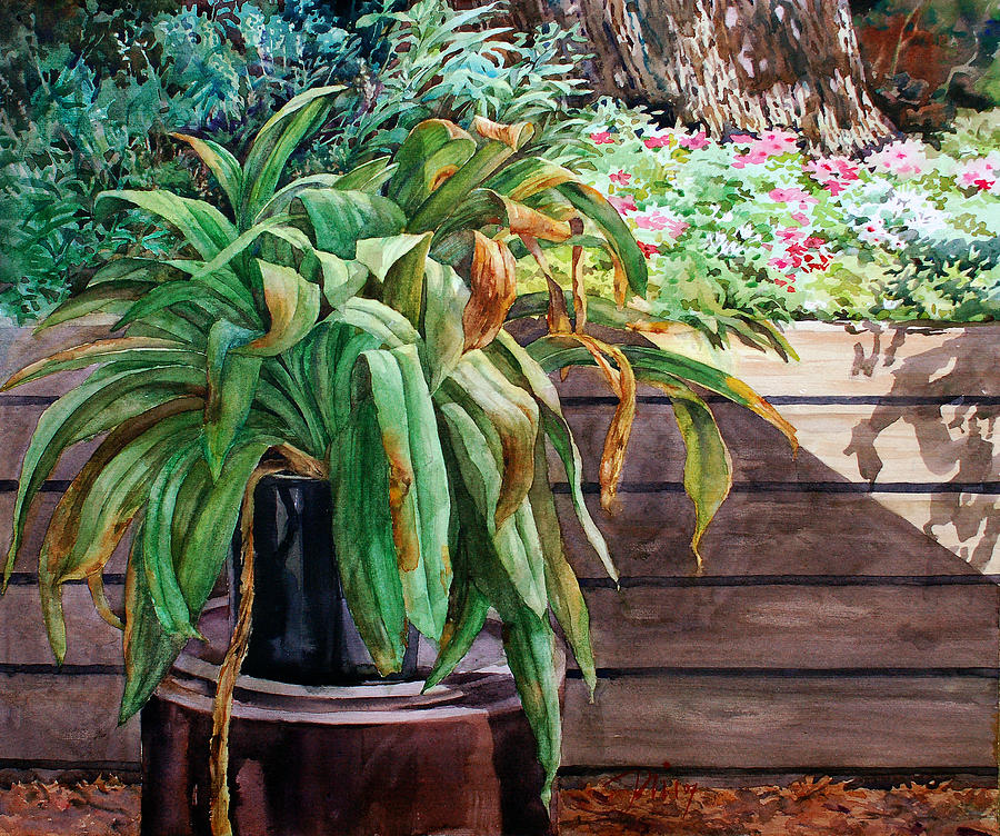 Watercolor Painting - Sunburnt Kaffir Lily by Peter Sit Watercolor Painting - Sunburnt Kaffir Lily by Peter Sit
