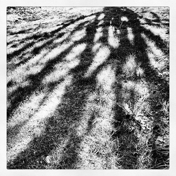 Sunday Shadows In B/w As Suggested By Photograph by Jess Gowan
