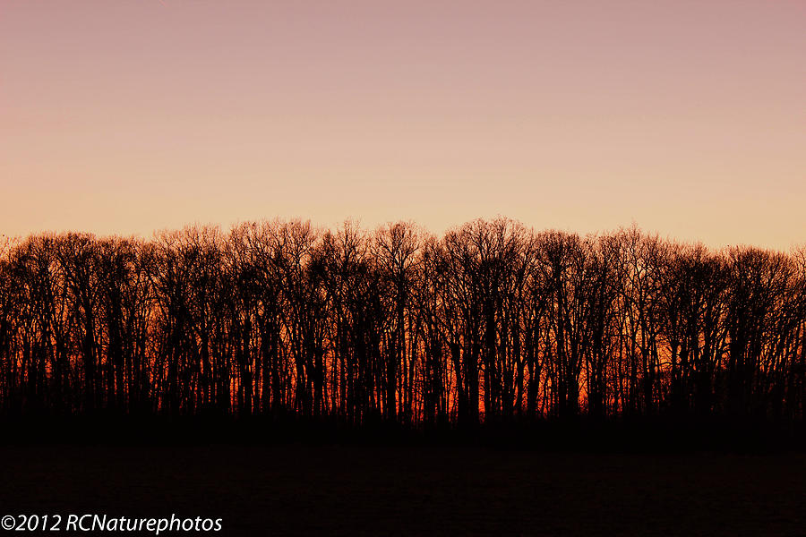 Sundown in Silhouette Photograph by Rachel Cohen