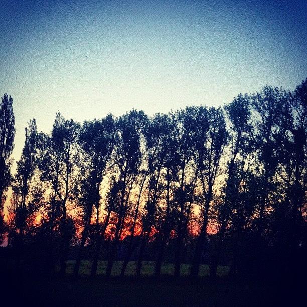 England Photograph - Sundown Through The Trees! Instagram # by Rob Harris