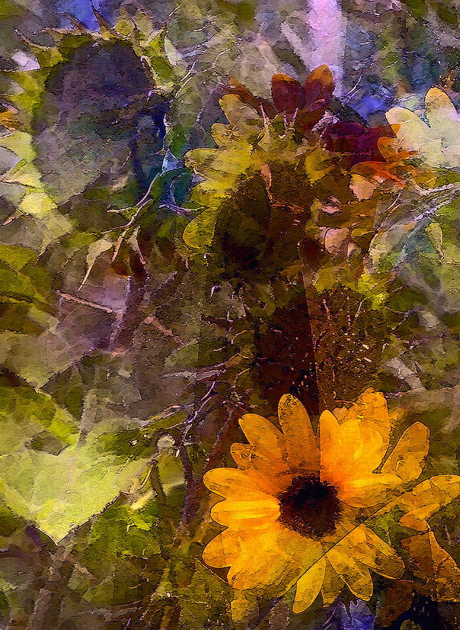 Sunflower 12 Photograph by Pamela Cooper