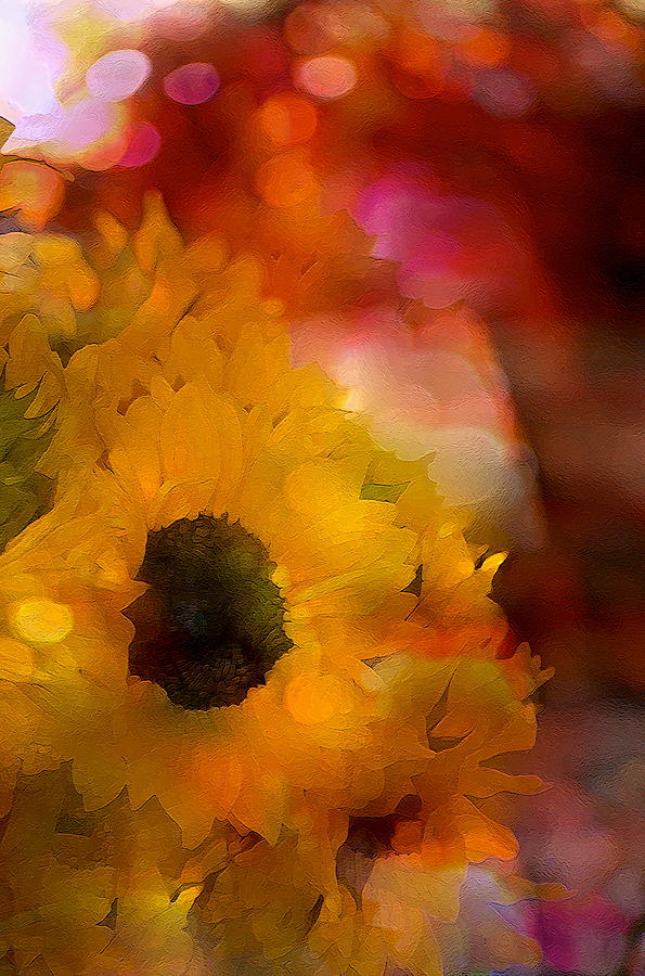 Sunflower 14 Photograph by Pamela Cooper