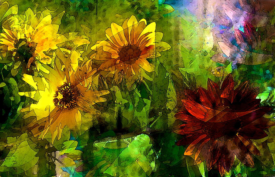 Sunflower 4 Photograph by Pamela Cooper