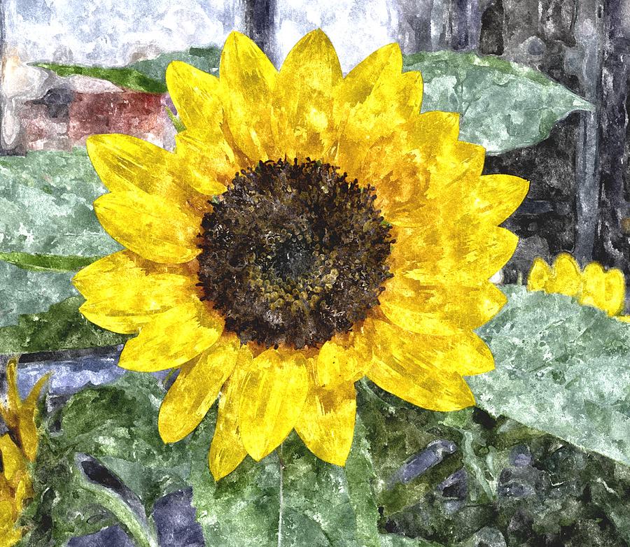 Sunflower Digital Art - Sunflower 4 SF4WC by Jim Brage