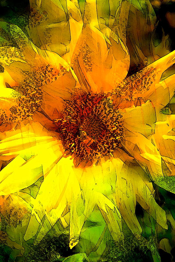 Sunflower 8 Photograph by Pamela Cooper
