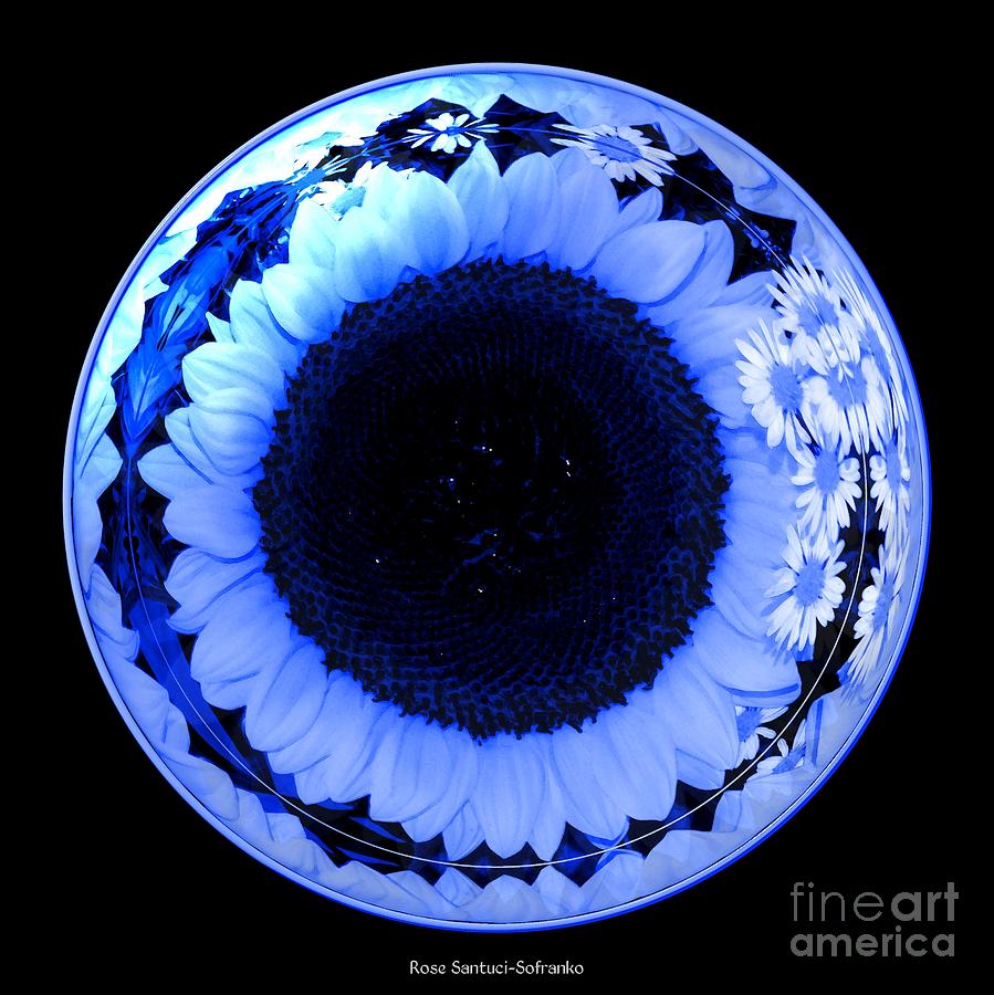 Sunflower and Daisies in Blue Under Glass Photograph by Rose Santuci-Sofranko