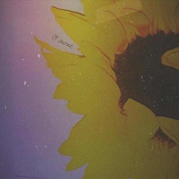 Sunflower Photograph - #sunflower #flower #nature by Simone Gruber