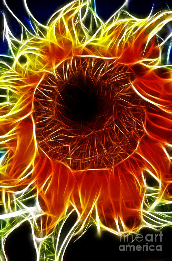 Sunflower Fractal Photograph by Donna Greene