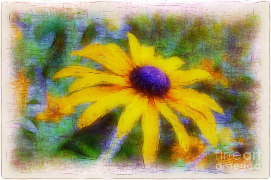 Sunflower Photograph - Sunflower by Judi Bagwell