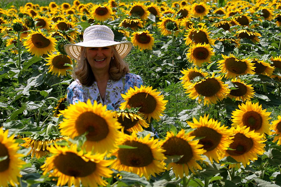 Sunflower Lady Photograph by Mike Stouffer