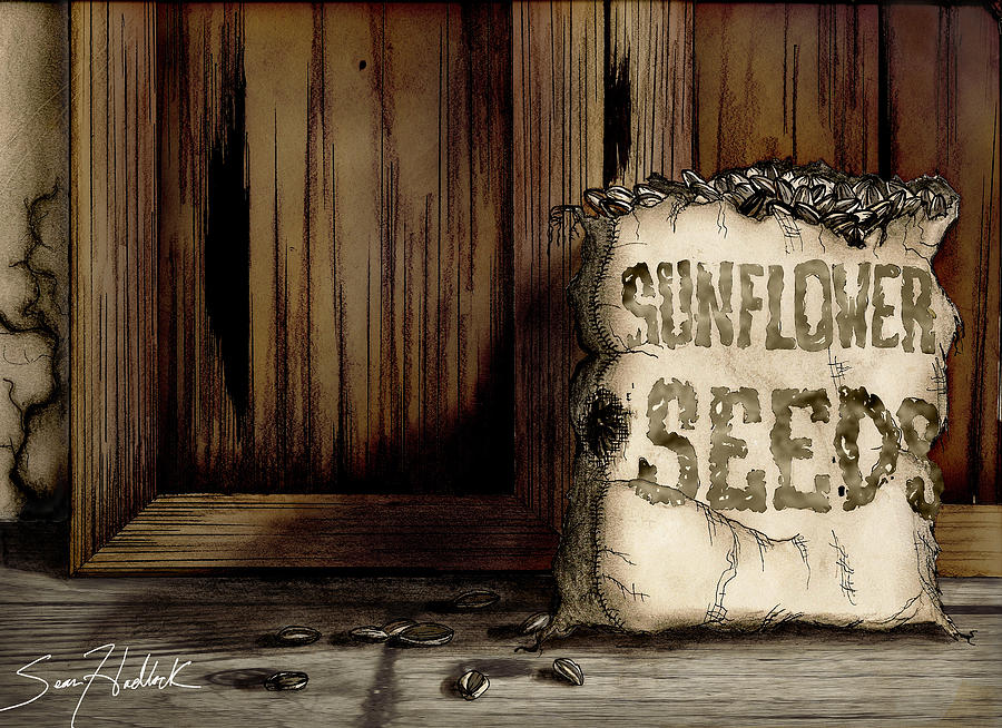 Sunflower Seeds Digital Art by Sean Hadlock Fine Art America