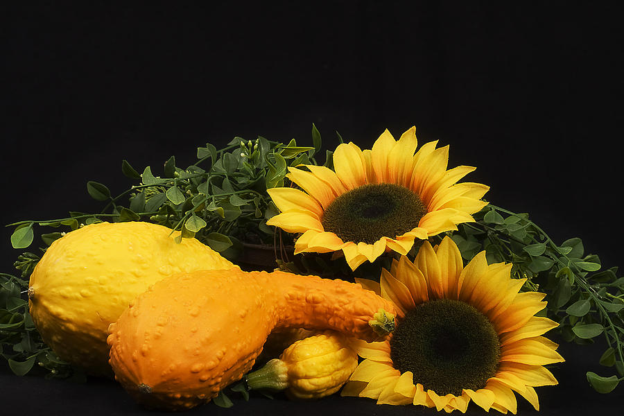 Sunflowers and Squash Photograph by Trudy Wilkerson