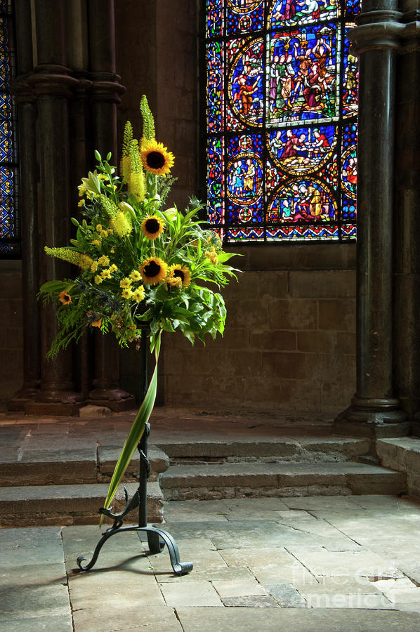 Flower Photograph - Sunflowers Canterbury Cathedral by Donald Davis