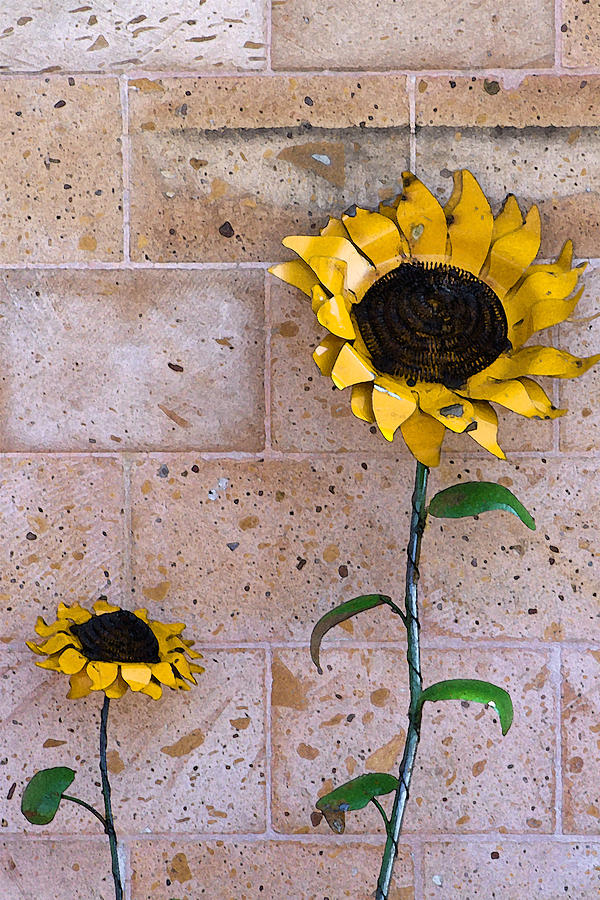 Sunflowers Photograph by Kathy Clark