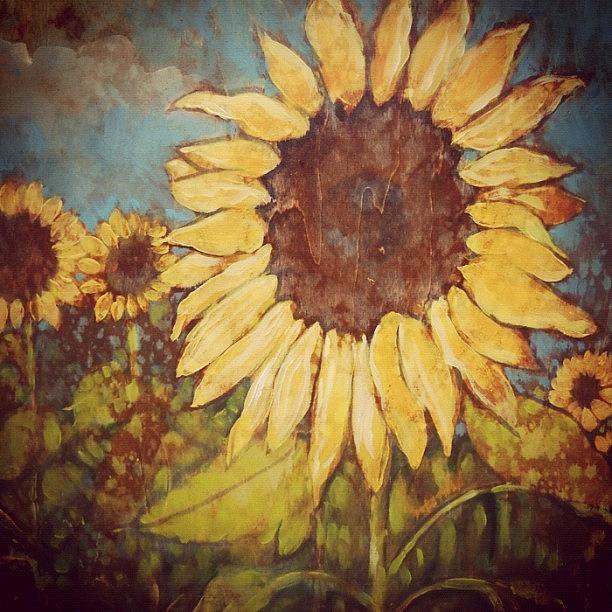 Sunflower Photograph - Sunflowers by Leisa Artus